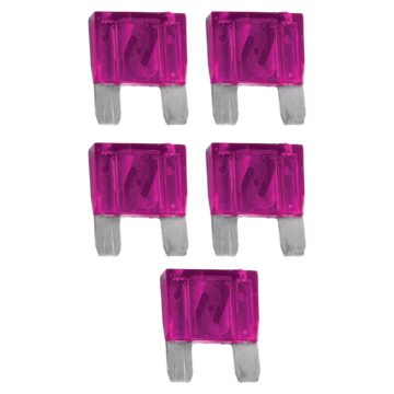 Xscorpion 100 Amp Fuses 5per Bag