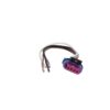 Coil Pigtail