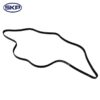 Serpentine Belt