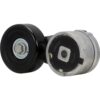 Tensioner Assembly