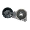 Tensioner Assembly
