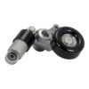 Tensioner Assembly