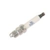 Double Platinum Spark Plug