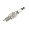 Double Platinum Spark Plug
