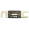 Audiopipe ANL Fuse 100 Amp (2 pack)