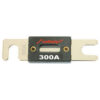 Audiopipe ANL Fuse 300 Amp (2 pack)