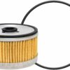DAHL Fuel Element