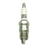 Double Platinum Power Spark Plug RV17PMP4 Carton of  4