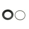 Disc Brake Caliper Repair Kit
