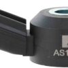 Ignition Knock (Detonation) Sensor