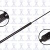 Liftgate Lift Support