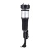 Electronic Air Suspension Strut Assembly