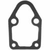 Fuel Pump Mounting Gasket