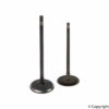 Intake Valve