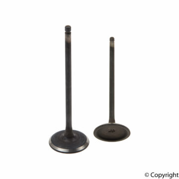 Intake Valve