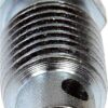 Bleeder Screw