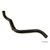 Lwr. Rad. Hose