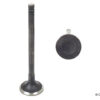 Exhaust Valve