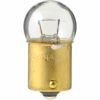Standard Mini Bulb