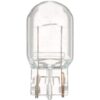 Standard Mini Bulb
