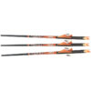 Ravin .003 Crossbow Lighted Arrows - Match-Grade (3-Pack)