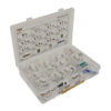 TPMS Tech Tray With 5 Each Of 11 Valve Core Kits, 25 Valve Cores, Assorted Caps