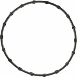 Engine Coolant Thermostat Housing Seal