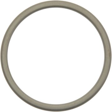 Catalytic Converter Gasket