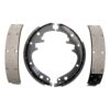 Raybestos Element3 Organic Brake Shoe