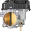 Fuel Injection Throttle Body Assembly