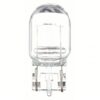 7440 Basic Incandescent Blister Card 2