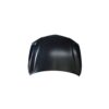 Tlx 15-17 Hood Panel Assy