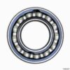 Single Row Ball Bearing