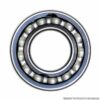 Single Row Ball Bearing