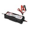 Installation Solution Intelligent Battery Charger - 12V & 24V Output