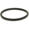 Engine Coolant Thermostat Seal