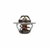 Engine Coolant Thermostat
