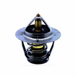 Engine Coolant Thermostat