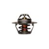 Engine Coolant Thermostat