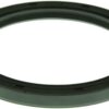 Engine Crankshaft Seal