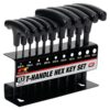 Performance Tool Soft Grip Dual Drive SAE Hex T-Handle Set (10 Piece)