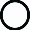 Engine Coolant Thermostat Seal