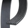 Serpentine Drive Belt