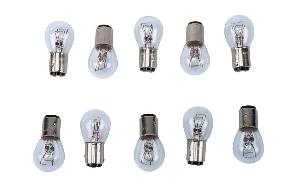 Light Bulb, Long Life