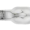 Multi-Purpose Light Bulb