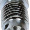 Bleeder Screw