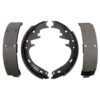 Raybestos Element3 Organic Brake Shoe
