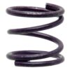 Raybestos R-Line Hold Down Spring