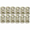 Raybestos R-Line Hold Down Spring