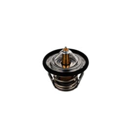 AISIN PRODUCTS THERMOSTAT
